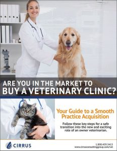 Guide to Buying a Veterinary Clinic