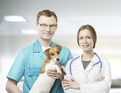 Two veterinarians and a dog