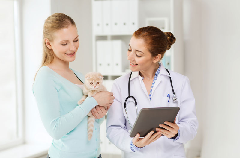 Young veterinarian with customer and her kitten