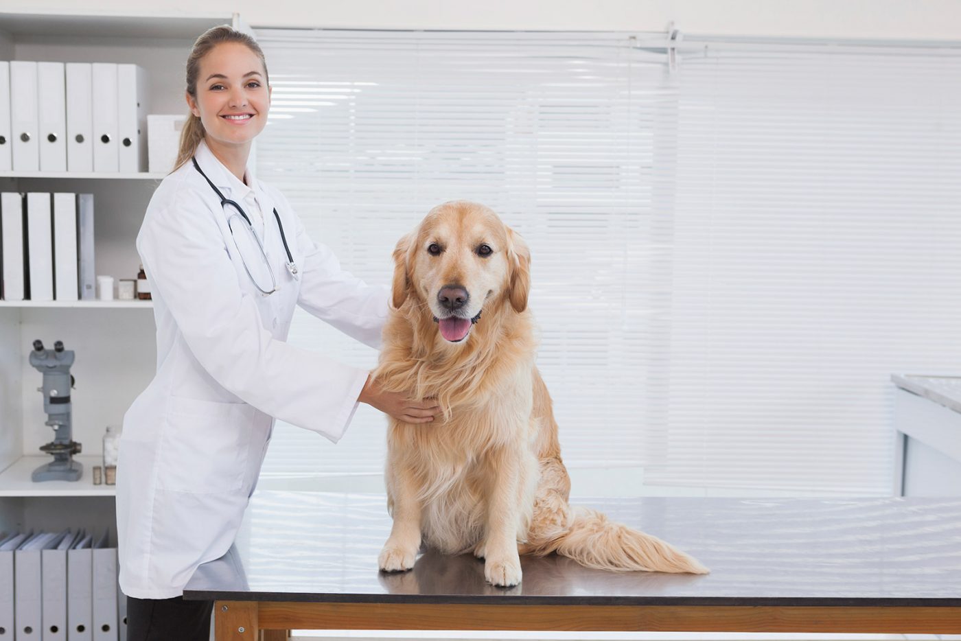 Young female veterinarian with a dog